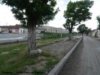 Imagine atasata: Bega - 2014.06.03 - 33.jpg